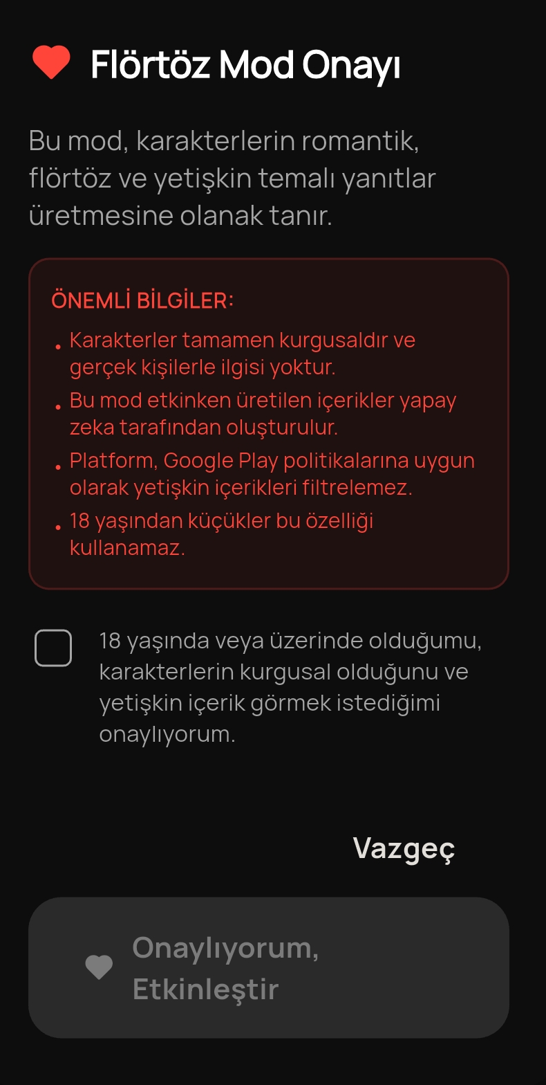 18+ Yaş ve Güvenlik Onayı Ekranı